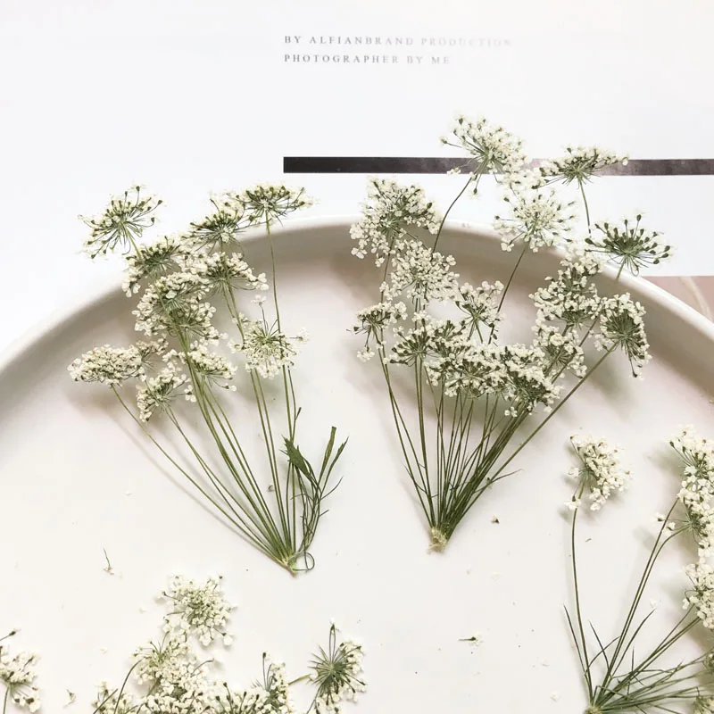 5-7cm/12pcs,Snow Tiny Flowers  - огляд і ціна Craft Embellishment