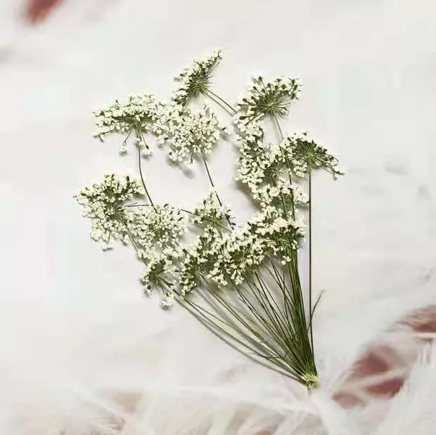 5-7cm/12pcs,Snow Tiny Flowers  - огляд і ціна Craft Embellishment