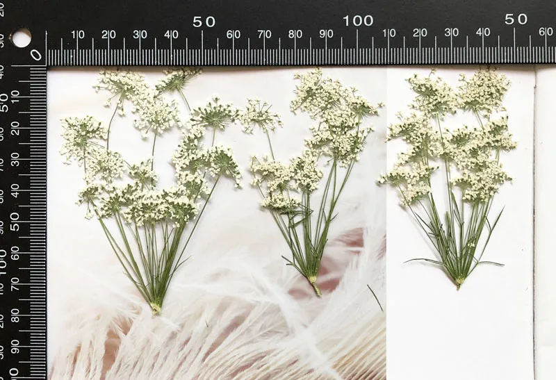 5-7cm/12pcs,Snow Tiny Flowers  - огляд і ціна Craft Embellishment